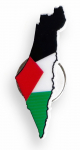 Palestine Flag Pin / Magnetic