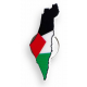 دبوس علم فلسطين الحبيبة / مغناطيسي