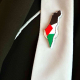 دبوس علم فلسطين الحبيبة / مغناطيسي