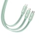 Beseus 3 in 1 Type-C Cable / 3 Different Ports / 100 Watt / 1.7 Meters / Green