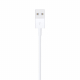 Apple Original USB to Lightning 2M Cable