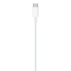 Apple Original Lightning to USB-C Cable / 2m