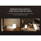 Xiaomi Smart Camping Lantern / 2-in-1 Lantern / Battery-Powered / Controlled from Mobile