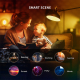 Xiaomi Yeelight Smart Lamp / Mobile App & Voice Control / Color Changing