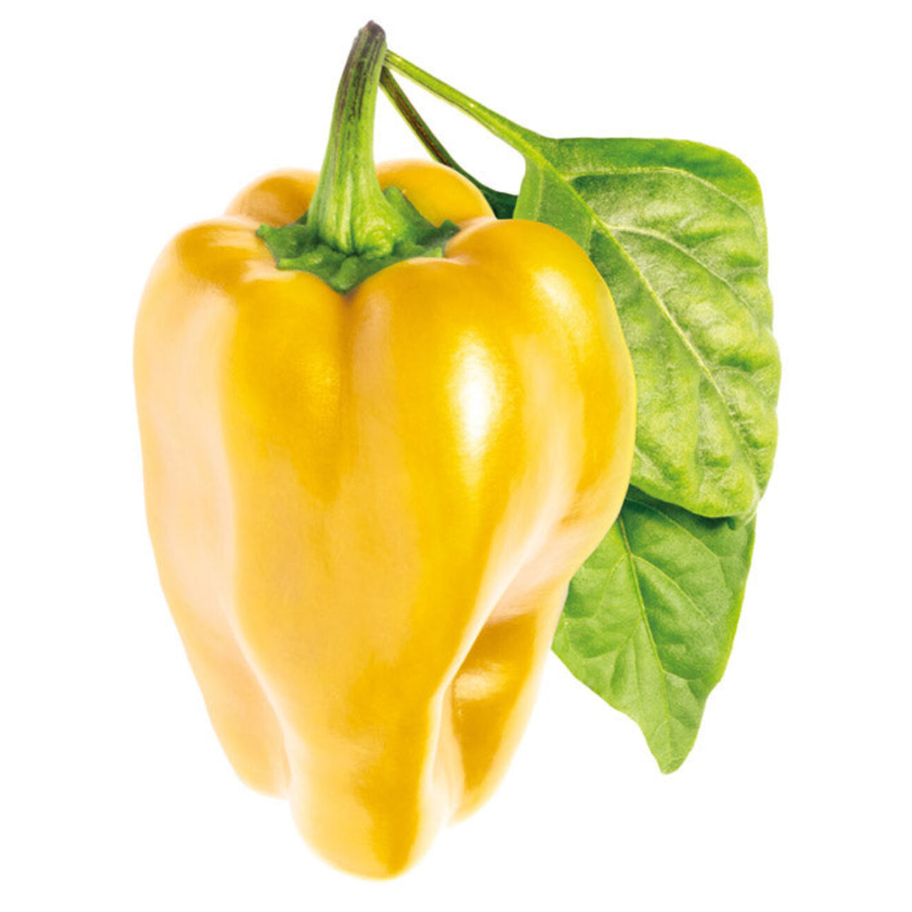 Chili Pepper Plant Pods  Click&Grow – Click & Grow